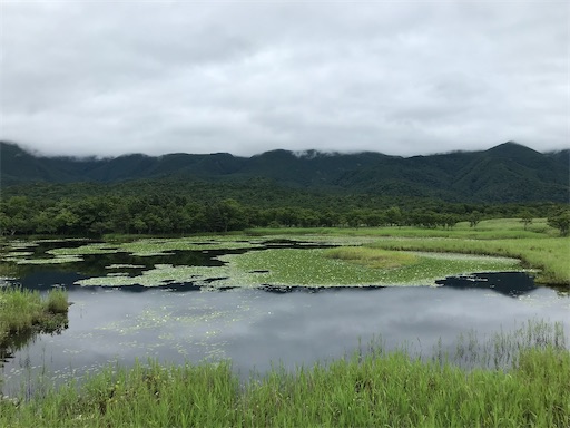 f:id:tmtmz:20200426223031j:image