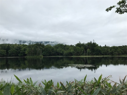 f:id:tmtmz:20200426223041j:image