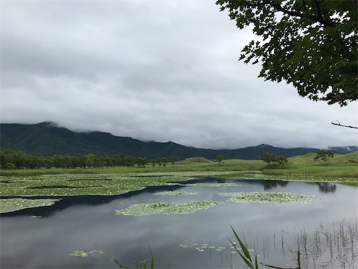 f:id:tmtmz:20200426223217j:image