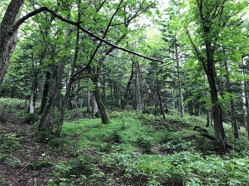 f:id:tmtmz:20200426223306j:image