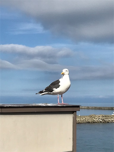 f:id:tmtmz:20200426223704j:image