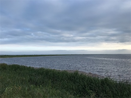 f:id:tmtmz:20200426223707j:image