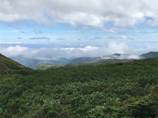 f:id:tmtmz:20200503082246j:image