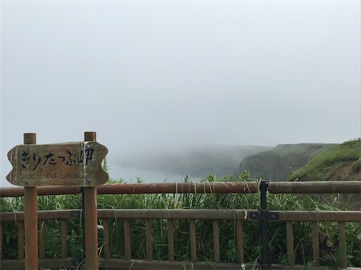 f:id:tmtmz:20200510213115j:image