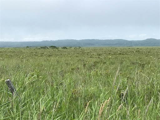 f:id:tmtmz:20200510213121j:image