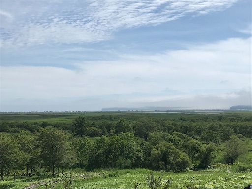 f:id:tmtmz:20200510213128j:image