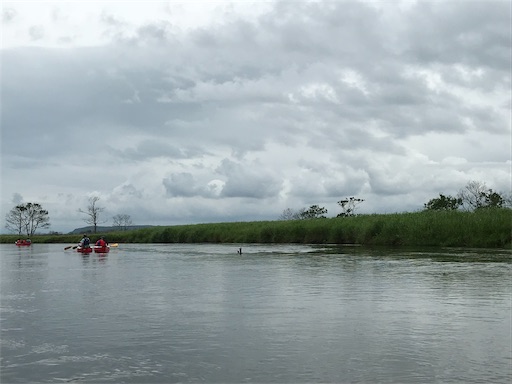 f:id:tmtmz:20200510213905j:image