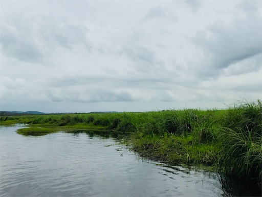 f:id:tmtmz:20200510213926j:image