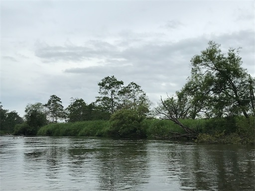 f:id:tmtmz:20200510213938j:image