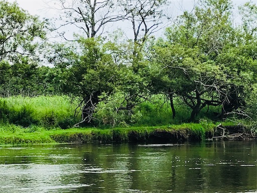 f:id:tmtmz:20200510213945j:image