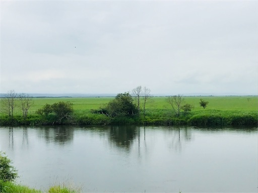 f:id:tmtmz:20200510213955j:image