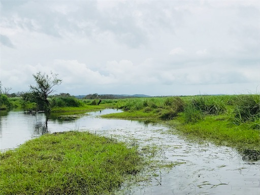 f:id:tmtmz:20200510213959j:image