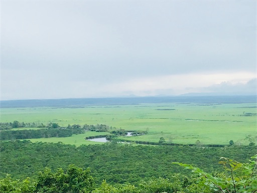 f:id:tmtmz:20200510214020j:image