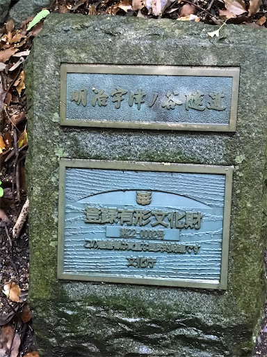 f:id:tmtmz:20200517195838j:image f:id:tmtmz:20200517195838j:image