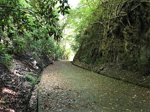 f:id:tmtmz:20200517195842j:image f:id:tmtmz:20200517195842j:image