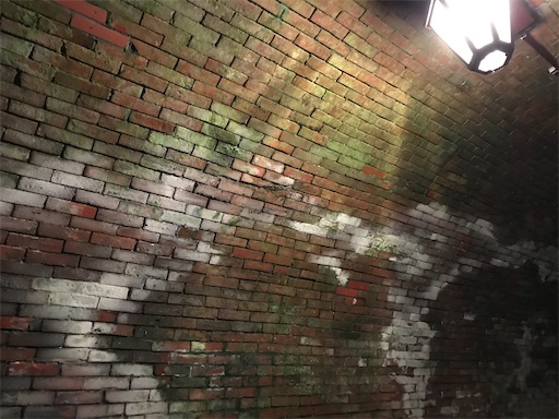 f:id:tmtmz:20200517195952j:image f:id:tmtmz:20200517195952j:image