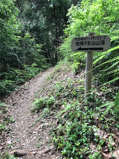 f:id:tmtmz:20200523201521j:image