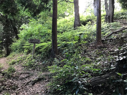 f:id:tmtmz:20200523201536j:image