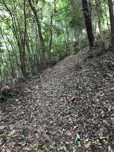 f:id:tmtmz:20200523201540j:image