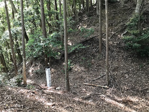 f:id:tmtmz:20200523201545j:image