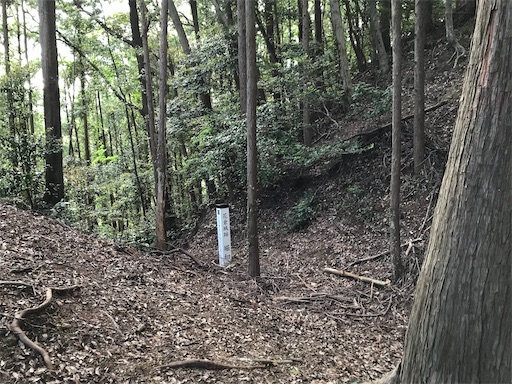 f:id:tmtmz:20200523201551j:image