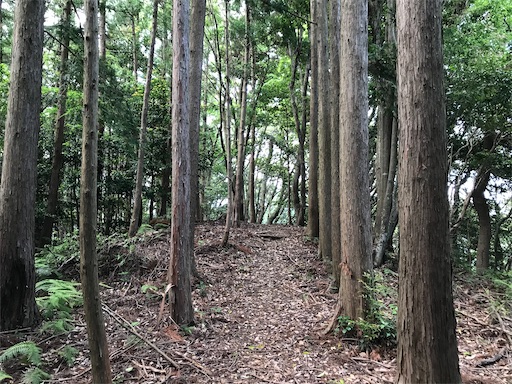 f:id:tmtmz:20200523201603j:image