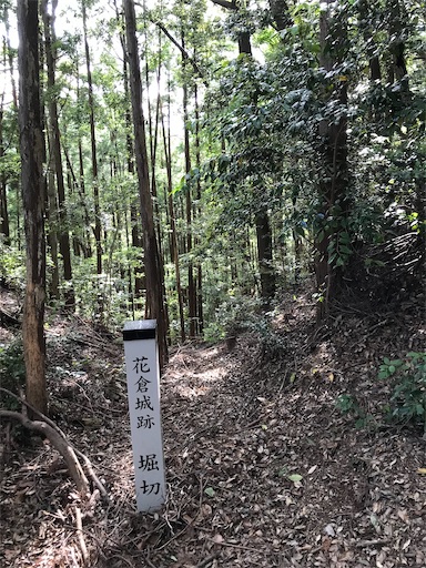 f:id:tmtmz:20200523201615j:image