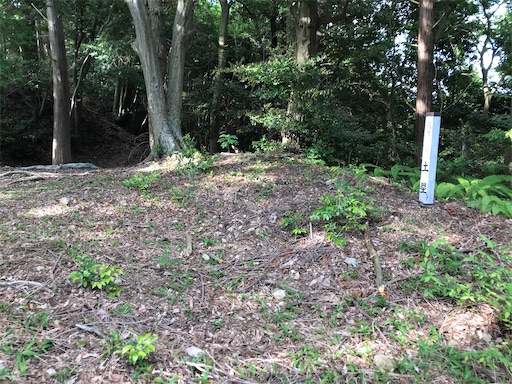 f:id:tmtmz:20200523202632j:image