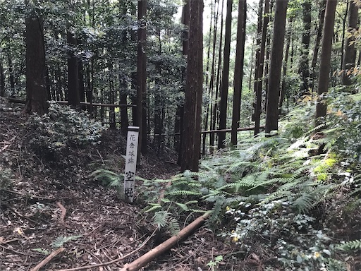 f:id:tmtmz:20200523202640j:image