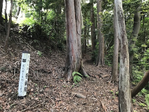 f:id:tmtmz:20200523202647j:image