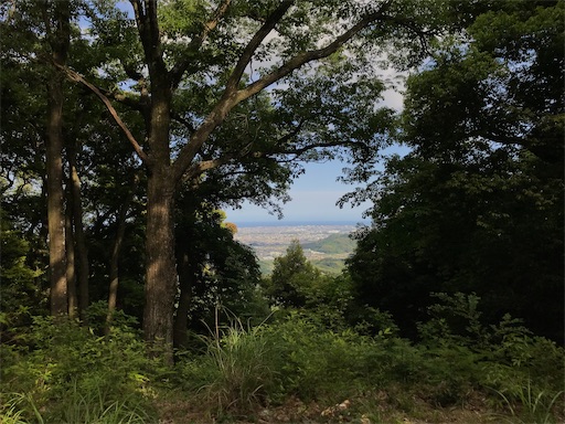 f:id:tmtmz:20200523202650j:image