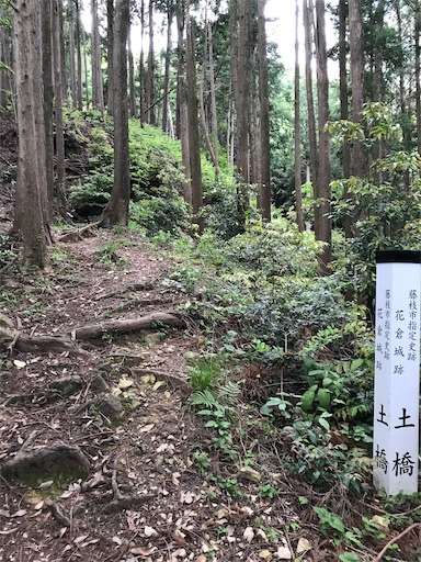 f:id:tmtmz:20200523202828j:image