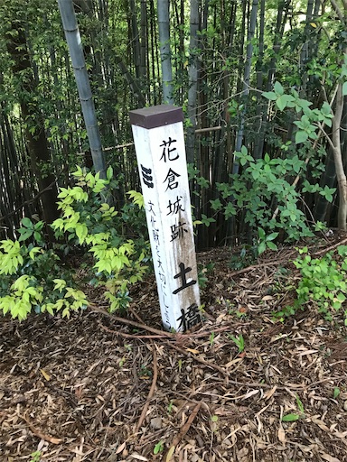 f:id:tmtmz:20200523202832j:image