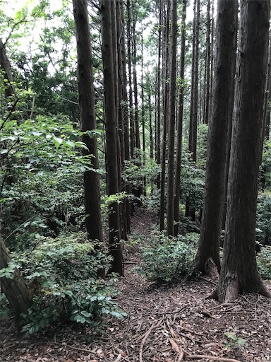 f:id:tmtmz:20200523202835j:image