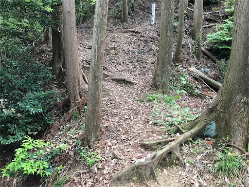 f:id:tmtmz:20200523202838j:image