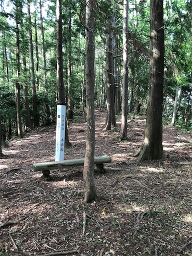 f:id:tmtmz:20200523202841j:image