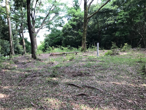 f:id:tmtmz:20200523202847j:image