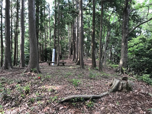 f:id:tmtmz:20200523203021j:image