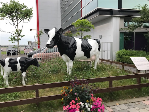 f:id:tmtmz:20200523203903j:image