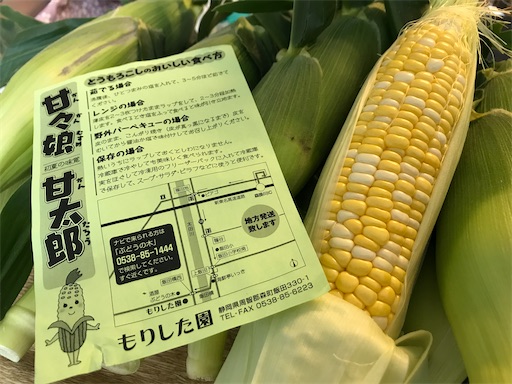 f:id:tmtmz:20200607131644j:image