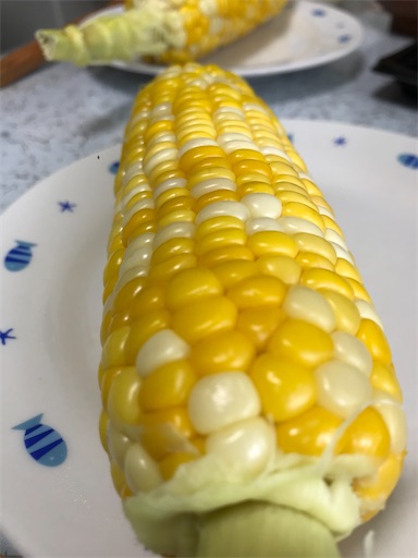 f:id:tmtmz:20200607131650j:image