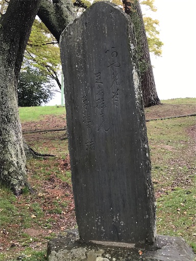 f:id:tmtmz:20200613220208j:image f:id:tmtmz:20200613220208j:image