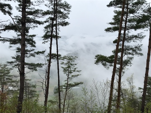 f:id:tmtmz:20200613221211j:image f:id:tmtmz:20200613221211j:image