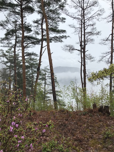 f:id:tmtmz:20200613221217j:image f:id:tmtmz:20200613221217j:image