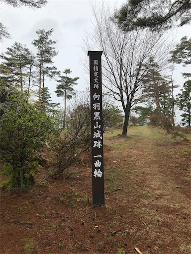 f:id:tmtmz:20200613221221j:image f:id:tmtmz:20200613221221j:image