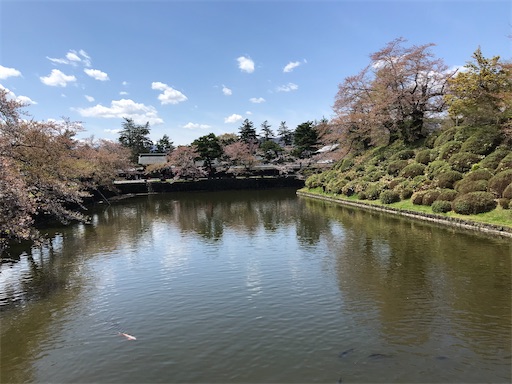 f:id:tmtmz:20200613221350j:image f:id:tmtmz:20200613221350j:image