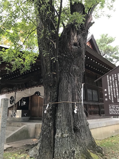 f:id:tmtmz:20201103213936j:image f:id:tmtmz:20201103213936j:image