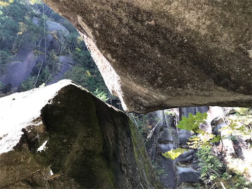 f:id:tmtmz:20201104221526j:image