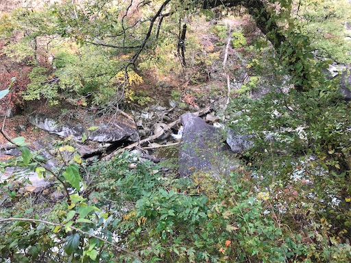 f:id:tmtmz:20201104221554j:image