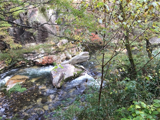 f:id:tmtmz:20201104221617j:image